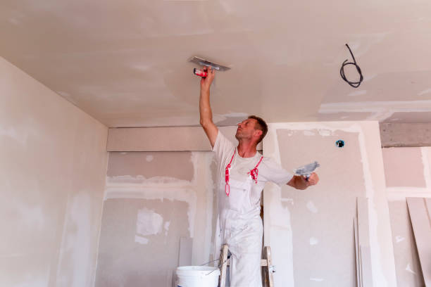 Professional Dry wall and painting in Orchard City, CO