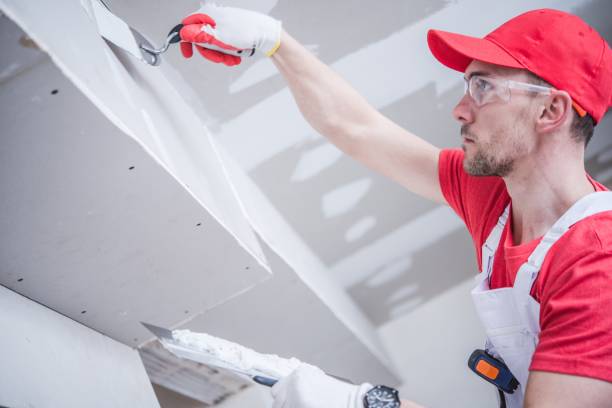 Best Fire-Damaged Drywall Repair  in Orchard City, CO